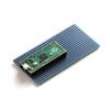 Raspberry Pi Pico Prototype Board L TH