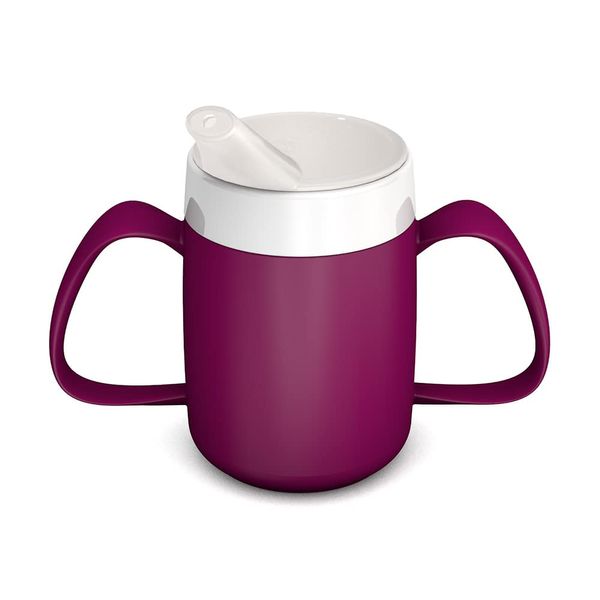Ornamin Two Handled Mug with Internal Cone and spouted lid, BlackBerry
