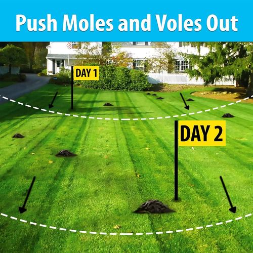 Nature’s Mace Mole and Vole MACE, 5 Gallon Castor Oil Concentrate, Outdoor Lawn & Garden Mole Control, Mole Remover, Vole Repellent Outdoor, Castor Oil for Moles, Stop Tunneling, Pet & Plant Safe