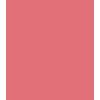 Color Statement Matte Lipstick 78 Matte Delicate