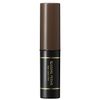 Ferm Gray Hair Cover Stick 03 Light Brown