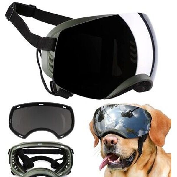 Pet Dog Goggles UV Wind Eye Protection Clear Lens Glass for Medium Large Breed