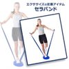 Theraband Blue 1m