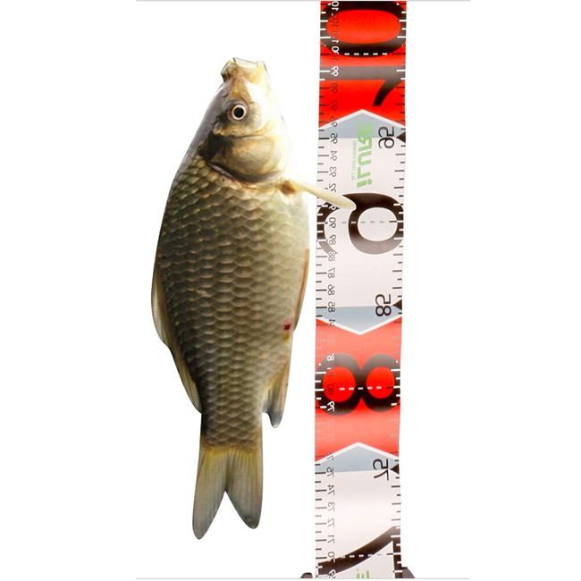 1.38M Waterproof Fish Measuring Tape Fishing Ruler PVC Measurement Tackle  Tools 