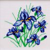 VDV Cross Stitch Kit - Irises
