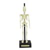 Anatomical Skeleton Model – 30cm High, Perfect for Learning Human Anatomy!