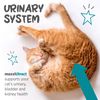 maxxipaws maxxiUtract Urinary & Bladder Support - Powder Supplement for Cats, 90g