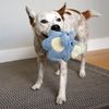 Kong Snuzzles Kiddos Teddy Bear Dog Toy, Small, Brown