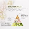 ASHLEIGH&BURWOOD&   500ml  []