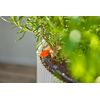 GARDENA 13401-20 Micro Drip Sprinkler System for Balcony (15 Strains) Starter Set