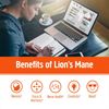 Lion's Mane, Ashwagandha and Cordyceps - Focus and Memory, Nerve Support