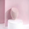 Brushworks HD Wonder Complexion Sponge