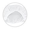 Replacement Filter Bag Dust Extraction Basic