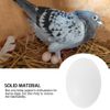 White Fake Eggs Solid Plastic Dummy Pigeon Eggs for Pigeons Bird DIY Easter Crafts (20 PCS)