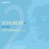 Schubert + Brahms, Vol. 2