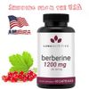Berberine 1200 mg 60 capsules- Enhances immune function and promotes cholesterol