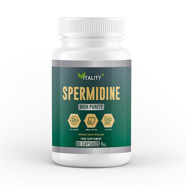 High Potency Spermidine Wheat Germ Extract Capsules - 10mg from Wheat Germ Extract, 60 Capsules, One Month Supply - Longevity