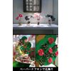 Paper Napkins Medium + 3 Pack Decoupage 20 Piece 2 Ply