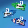 Trident Sugarless Chewing Gum Bulk Pack 18 Mint Flavors 252 Pieces