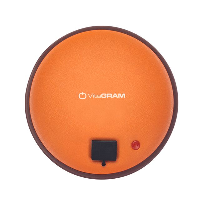 Vitagram Smart Stone Steamer WGT-0605-1