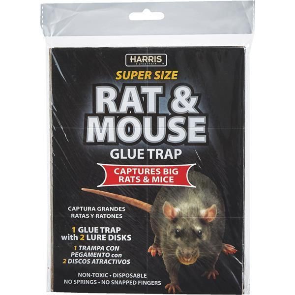 (24)-Extra Large Harris Glue Rat & Mouse Trap 13.5 in x 8.65 non-toxic BLKRAT-1