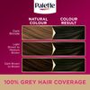 Palette DLX 4-0 Mid Brwn/Dark Brwn GB