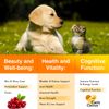 Liquid Multivitamins for Pet | 10 Essential Vitamins for Cat & Dog | 2 Oz