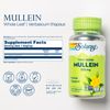 SOLARAY 100ct Mullein Leaf 330 mg - Soothing Herbal Support - Traditionally Used to Support Health and Wellness - Vegan, Non-GMO, Lab Verified, 60-Day Money-Back Guarantee, 100 Servings, 100 VegCaps