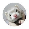 Ferret Pop Socket Phone Holder PopSockets PopGrip: Swappable Grip for Phones & Tablets