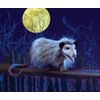Folkmanis Opossum Hand Puppet, Gray, Black, Brown, 1 EA