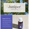 Young Living Juniper Essential Oil, 15ml | Ideal for Skin Massage Oil Blends | Aromatic Diffuser | Topical Use | Sweet, Woodsy Aroma | Vegan & Gluten-Free | Soothing & Beautifying Properties
