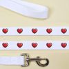 'Valentine's Heart' Dog Lead/Leash (DL00023322)