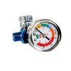 Anest Iwata DR5 In-line Pressure Regulator