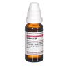 DHU Olibanum D6 Dilution, 20 ml Lösung