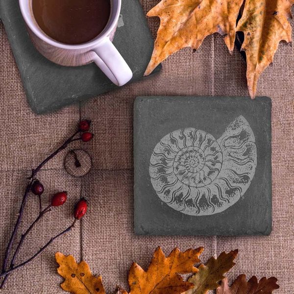 Ammonite Fossil Set of 4 Slate Coasters