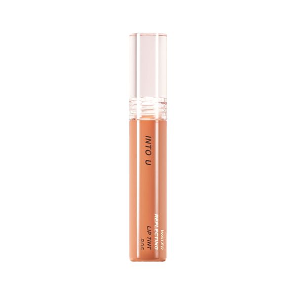 INTO U Water Reflecting Lip Tint (R06 Temptation Chocolate Liqueur)