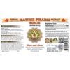 Birch (Betula Alba) Liquid Extract 4 Oz