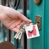 Key Chains Fun creative fluffy pink llama wearing a saddle blanket (kc-280220-1)