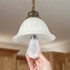 TCP 60 Watt Equivalent, LED A19 Standard Shaped Light Bulbs, Non-Dimmable, Soft White (3 Pack)