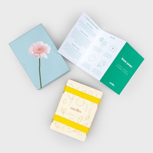 Mello Flower Press Kit | Craft Supplies For Pressed Flowers & Crafts | Arts And Crafts & Scrapbook Supplies | Hobbies for Women | Gifts for Plant Lovers & Dried Flowers For Crafts | Flower Power