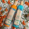 Natura Siberica Professional Oblepikha Maximum Volume Shampoo for All Hair Type