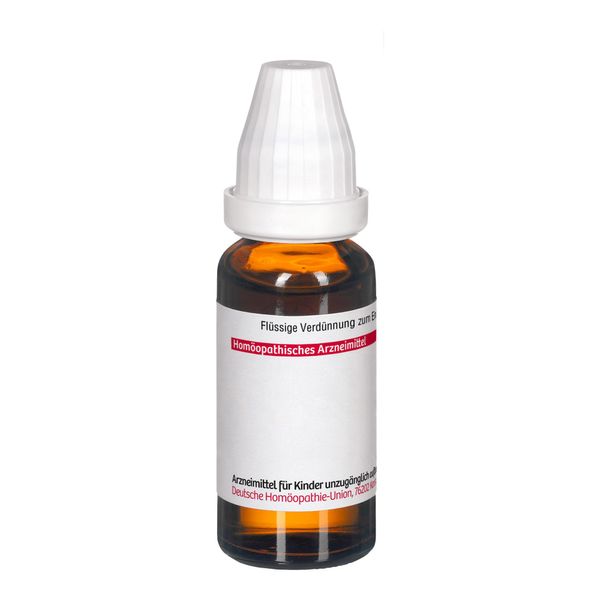 Echinacea Purpurea Mother Tincture 20 ml