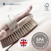 Hydrea London Dry Brushing Body Brush with Cactus Bristle - Dry Brush for Skin, Cellulite Remover, Skin Exfoliating Body Scrubber, Vegan Best Dry Brush for Flawless Skin, Helps Improve Lymphatic Drainage - FSC® Certified Beechwood.
