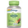 Ginger Root Herbal Supplement 180 Count Non GMO Vegan Supports Digestion Joints
