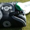 Generic Lumbar & Convenient Golf Ball Pickup, Cup Keeper, Green