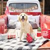 Fringe Studio Plush Dog Toy, 1 Fan(289886T)