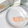 Sun Rescue - Collagen + Vitamin C SPF 40 with TINT