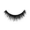 KALENTIN, Cork Strip Lash + Eyelash Clear Adhesive + Lash Applicator, Party, Makeup