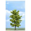 Ash Tree 180mm