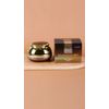 Jigott - Daandanbit Snail Firming Cream 1.69 FL OZ/ 50ml